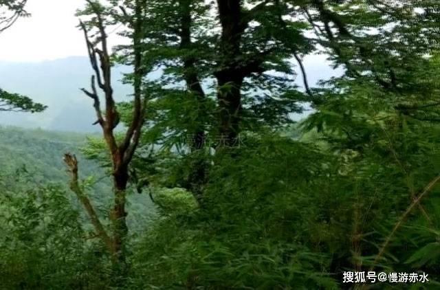 远古行星中文版